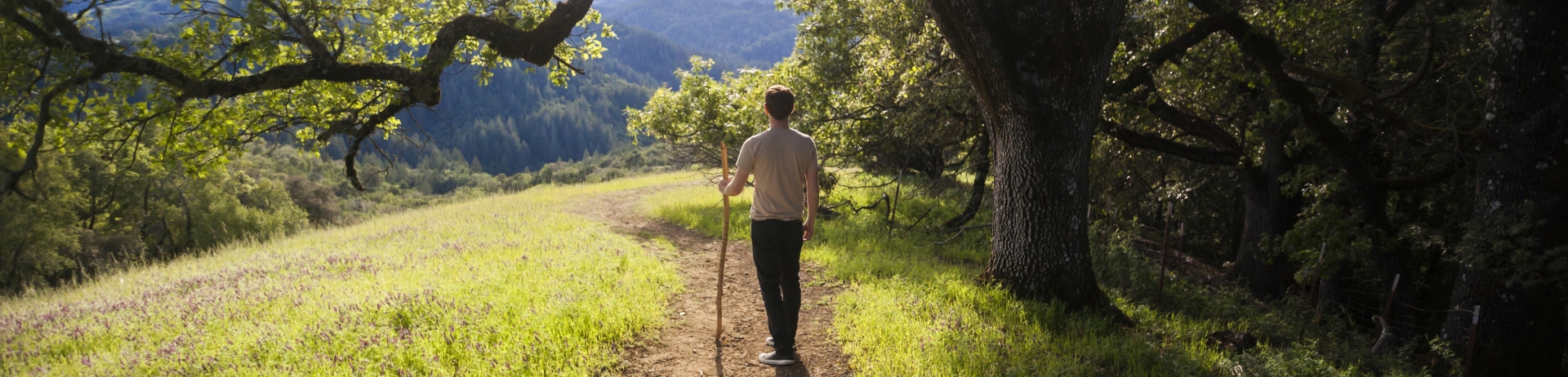 Hiking Through The Sonoma Hills - Fairmont Sonoma